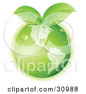 Poster, Art Print Of Dew On A Green Grid Globe With Green Leaves Sprouting From The Top