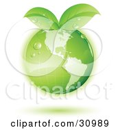 Poster, Art Print Of Green Globe With Green Leaves Sprouting From The Tops With A Green Shadow