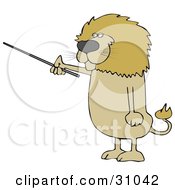 Poster, Art Print Of Male Lion Holding A Pointer Stick And Standing Up On His Hind Legs