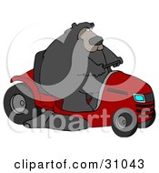 Big Bear Driving A Red Riding Lawn Mower