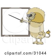 Male Lion Standing And Using A Pointer Stick To Discuss Rules On A Blank Board