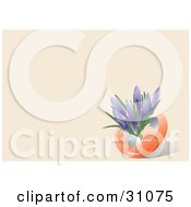 Clipart Illustration Of Purple Crocus Flowers Growing Inside An Orange Egg Shell On A Pastel Orange Background by Eugene