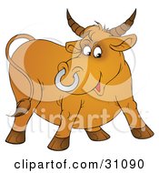 Horned Brown Bull With A Silver Ring In His Nose