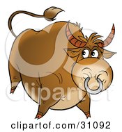 Poster, Art Print Of Big Beefy Brown Bull With A Ring In His Nose