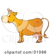 Poster, Art Print Of Cute Cow In Profile With Pink Udders And Short Horns