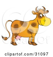 Poster, Art Print Of Friendly Orange Dairy Cow With Brown Spots Looking Over At The Viewer