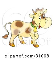 Poster, Art Print Of Pale Yellow Cow With Brown Spots Wearing A Bell