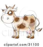 Poster, Art Print Of Cute Dairy Cow With Brown Spots And Short Horns