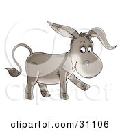 Poster, Art Print Of Adorable Baby Donkey Walking And Smiling