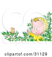 Poster, Art Print Of Curious Baby In A Bush Watching A Little Bird