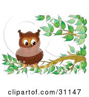 Poster, Art Print Of Adorable Wild Owl Perched On A Tree Branch