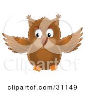 Poster, Art Print Of Cute Brown Owl In Flight Flapping His Wings