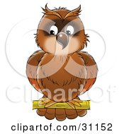 Poster, Art Print Of Perched Brown Owl Looking Off To The Left