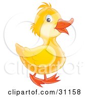 Poster, Art Print Of Adorable Yellow Duckling Smiling And Waddling Past