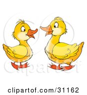 Poster, Art Print Of Two Yellow Geese Talking And Facing Each Other