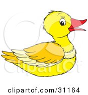 Poster, Art Print Of Happy Yellow Duck With A Red Beak In Profile