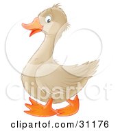 Poster, Art Print Of Happy Beige Goose With An Orange Beak And Feet