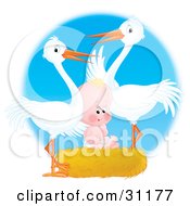 Poster, Art Print Of Two White Storks Standing Over A Cute Human Baby In A Nest