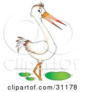 Poster, Art Print Of Wading White Bird With A Long Beak