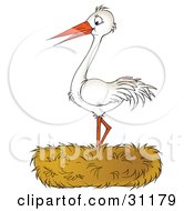 Happy White Stork Bird Standing In A Nest