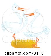 Poster, Art Print Of Two White Storks Standing At An Empty Nest Symbolizing Adoption Or Empty Nest Syndrome