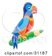 Colorful Parrot Perched On A Green Colored Pencil