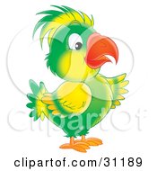 Poster, Art Print Of Green And Yellow Parrot With A Bright Orange Beak