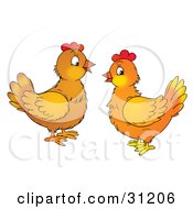 Poster, Art Print Of Two Chatty Chicken Hens Facing Each Other