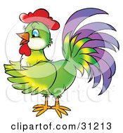 Poster, Art Print Of Colorful Green Rooster With Purple Tail Feathers