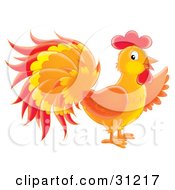 Poster, Art Print Of Colorful Orange Red And Yellow Rooster In Profile