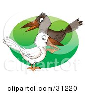 Clipart Illustration Of White And Brown Crows Standing Over A Green Circle On A White Background by Alex Bannykh
