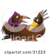 Poster, Art Print Of Male And Female Crow The Female Wearing A Purple Scarf