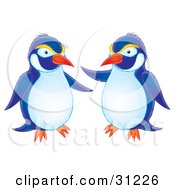 Poster, Art Print Of Two Blue White And Yellow Penguins Chatting