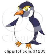 Poster, Art Print Of Navy Blue And White Penguin With Yellow Eyebrows