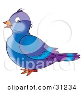 Clipart Illustration Of A Cute Blue And Purple Pigeon Bird In Profile Facing To The Left On A White Background by Alex Bannykh
