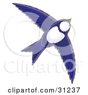 Blue And White Bird Flying Through The Sky On A White Background