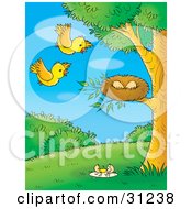 Poster, Art Print Of Two Yellow Birds Flying Towards Their Eggs In A Nest One Broken Egg On The Ground