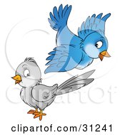 Clipart Illustration Of A Cute Blue Bird Flying Above A Gray Bird