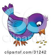 Poster, Art Print Of Purple And Blue Bird Eating Seed From The Ground