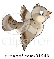 Poster, Art Print Of Cute Brown Bird Flying On A White Background