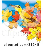 Clipart Illustration Of A Yellow Bird With Brown Markings Perched On The Branch Of A Maple Tree With Autumn Foliage Against A Blue Cloudy Sky