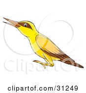 Clipart Illustration Of A Yellow Bird With Brown Markings Around Its Eyes And On Its Wings