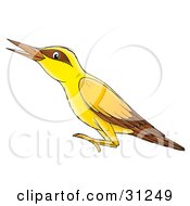 Poster, Art Print Of Yellow Bird With Brown Markings Around Its Eyes And On Its Wings