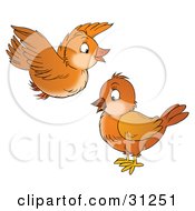 Clipart Illustration Of A Cute Brown Bird Flying Above Another