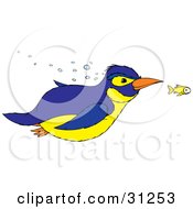 Poster, Art Print Of Blue And Yellow Penguin Swimming With A Yellow Fish