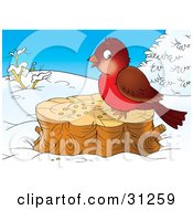Poster, Art Print Of Cute Brown And Robin Bird Eating Seed On A Stump On A Winter Day