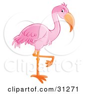 Clipart Illustration Of A Beautiful Pink Flamingo Standing On One Orange Leg by Alex Bannykh