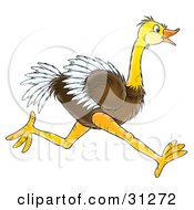 Clipart Illustration Of A Fast Brown And White Ostrich Bird Running To The Right In Profile by Alex Bannykh