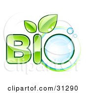 Poster, Art Print Of Green Bio Text With Leaves Sprouting From The Letter I And A Water Droplet As The Letter O