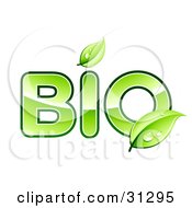 Poster, Art Print Of Green Leaves Above The I And Over The O Of Bio Text